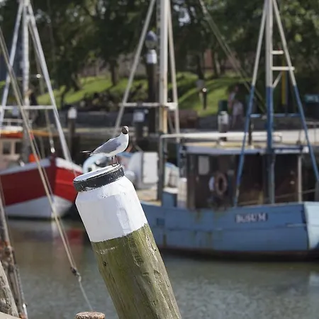 Amrumbank Апартаменты *